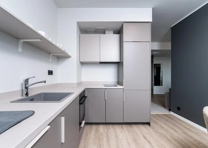 アパートホテル Adelle Viru Keskuses, 9-th Floor